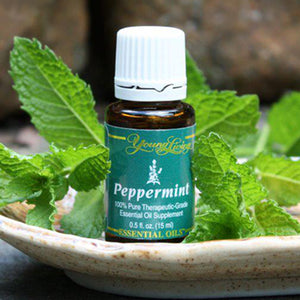 Peppermint Essential Oil